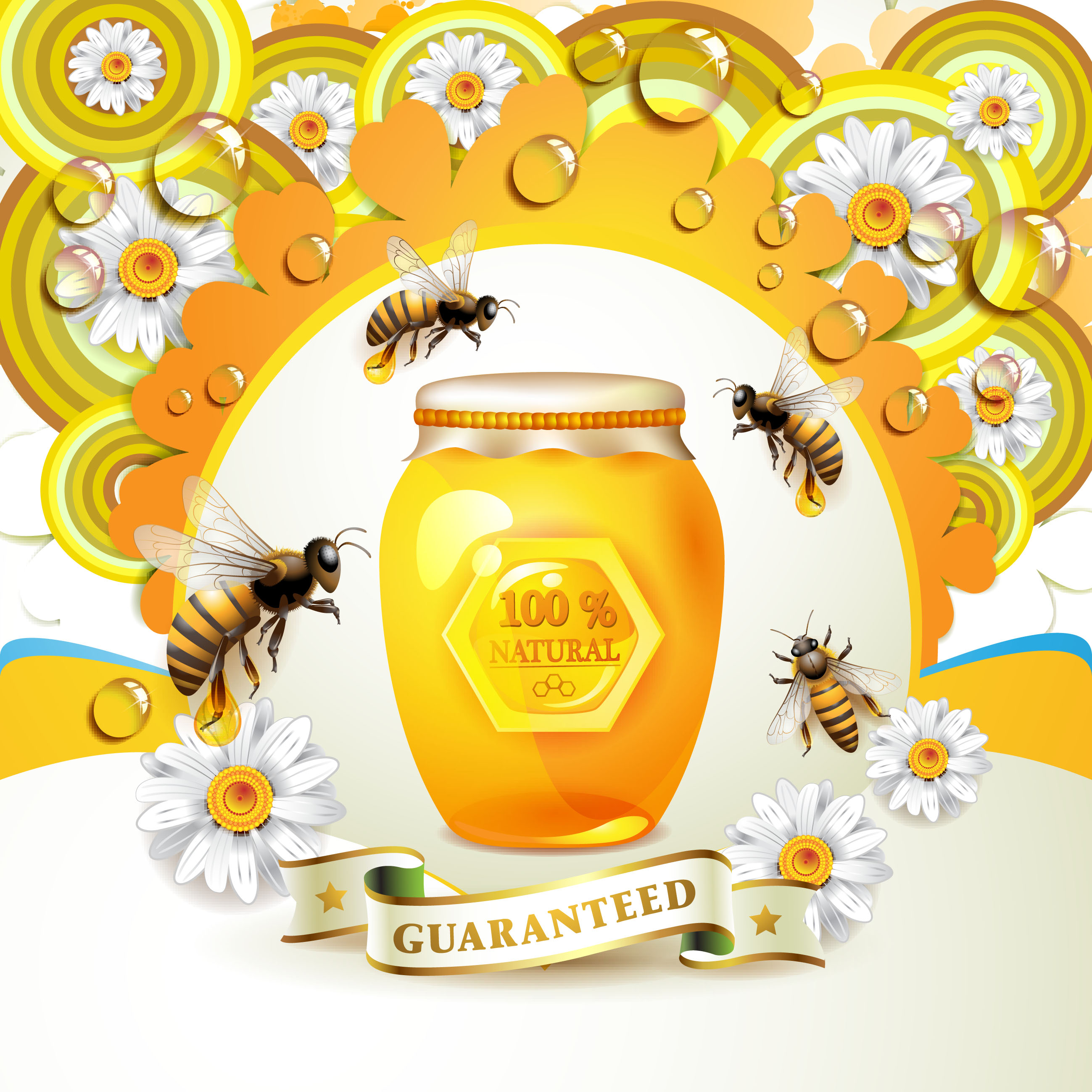 elements of honey and bees vector set