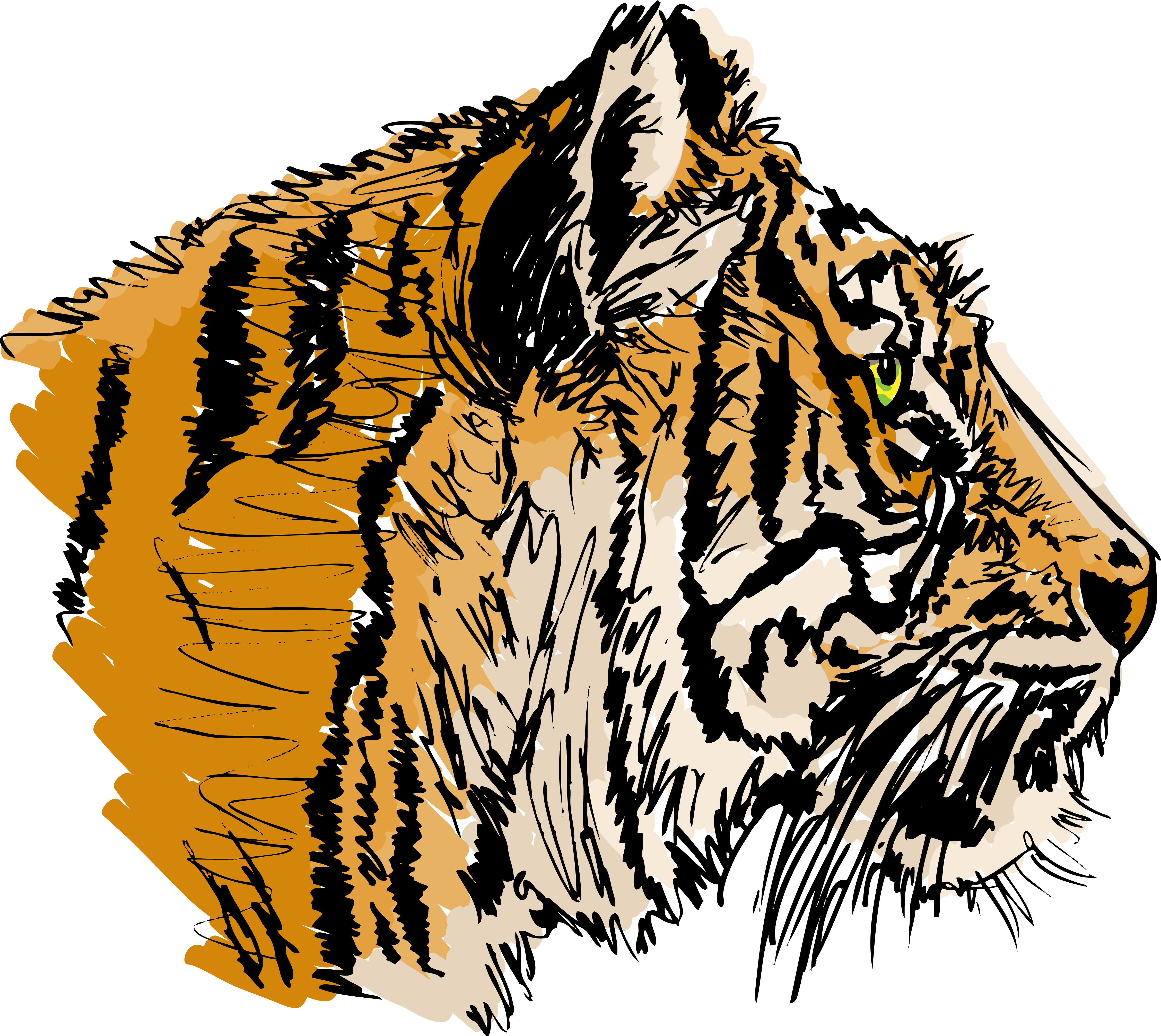 set of tiger elements vector