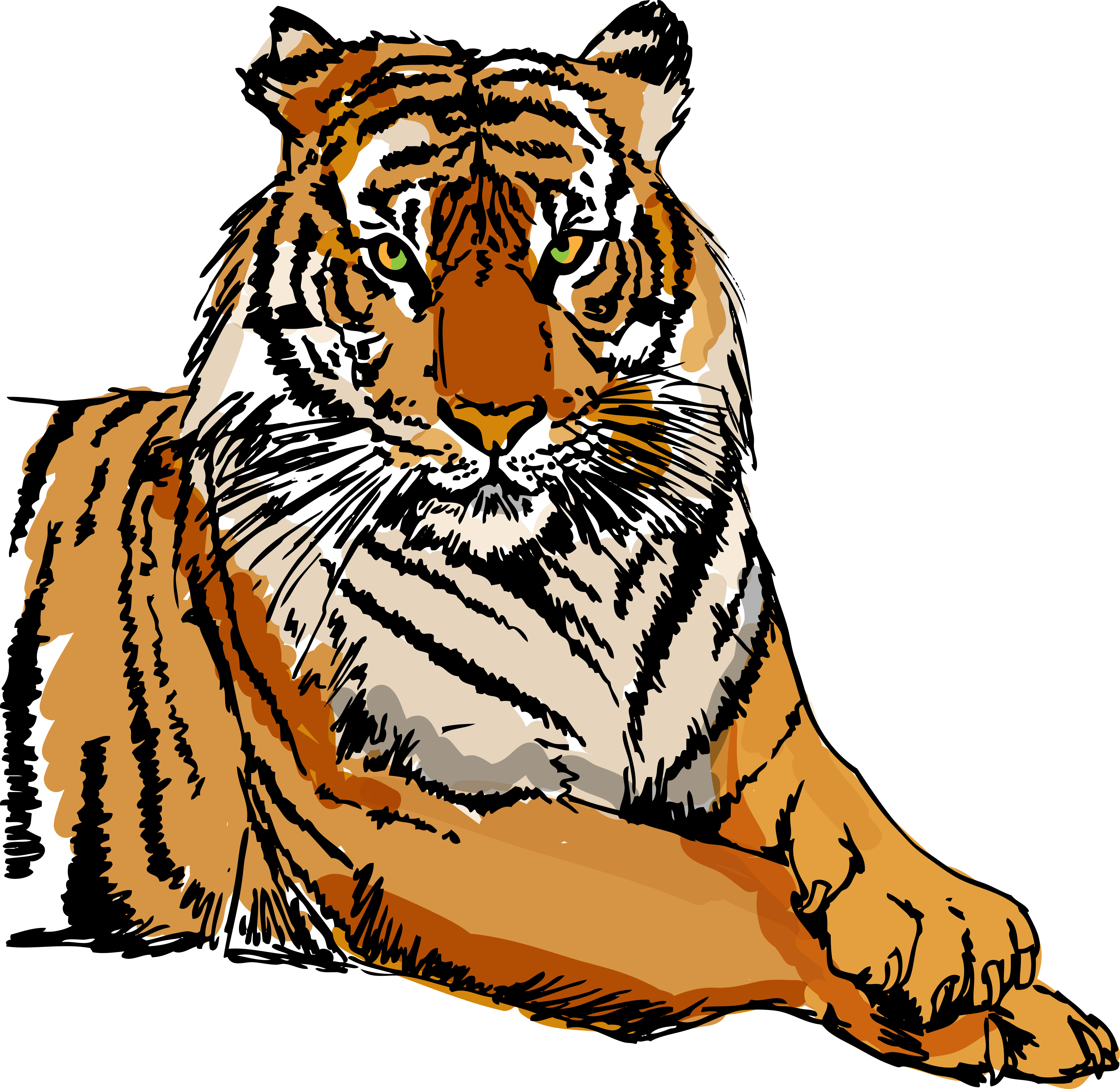 set of tiger elements vector