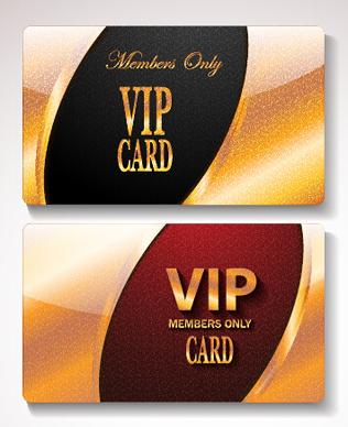 luxury vip cards set vector