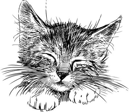 hand drawing black kittens vector