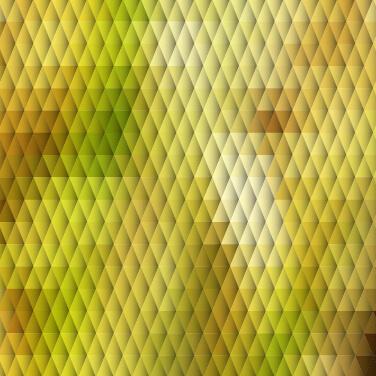 creative polygonal pattern vector