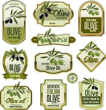 green olive oil labels set vector