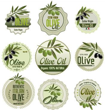 green style olive oil badges vector