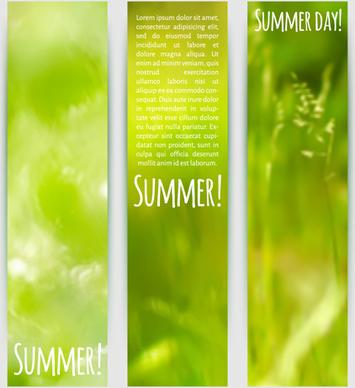 blurred green summer banner vector