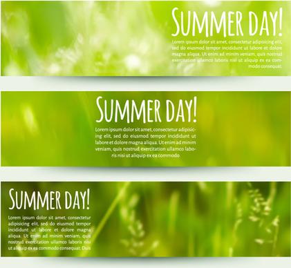 blurred green summer banner vector