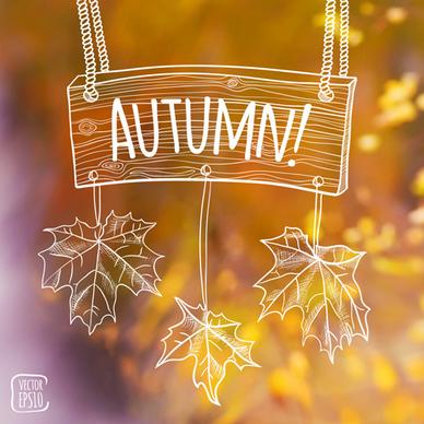 autumn leaf outline with blurred background vector