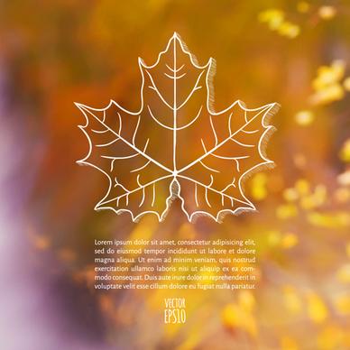 autumn leaf outline with blurred background vector