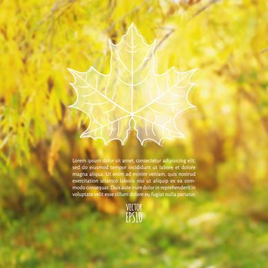 autumn leaf outline with blurred background vector