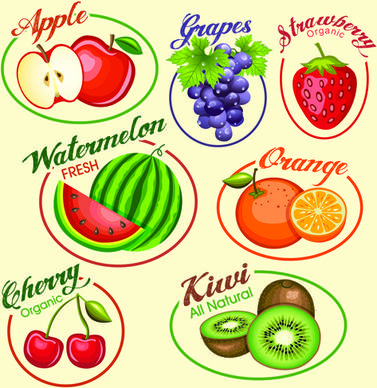 fruits slice labels vector