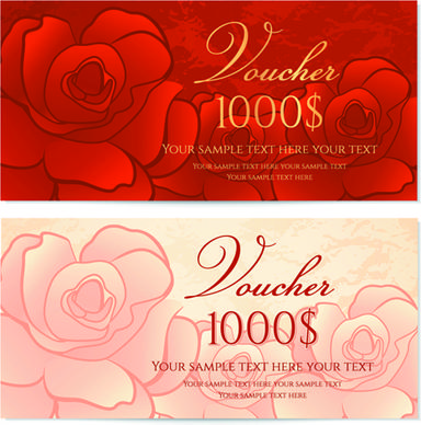 exquisite vouchers template design vector set