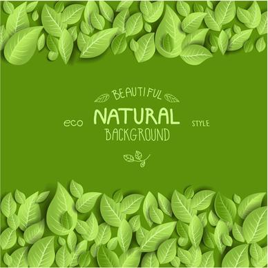 beautiful green leaves natural background vector