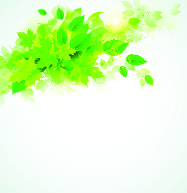 green leaves with grunge background graphics vector