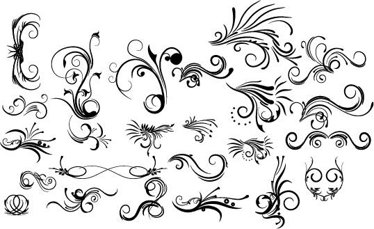 decorative floral design pack vector