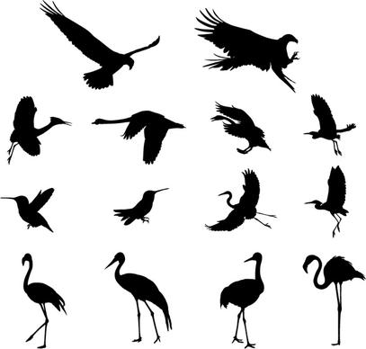 various birds silhouettes vector set