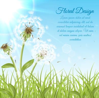 shiny dandelion vector backgrounds