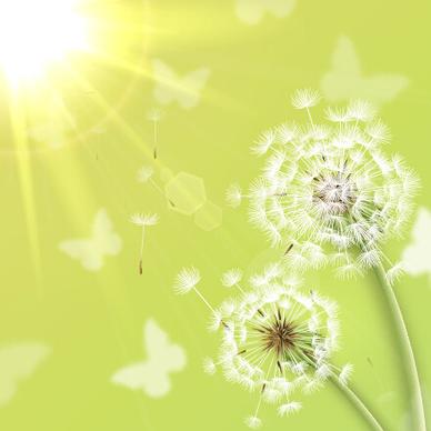 shiny dandelion vector backgrounds