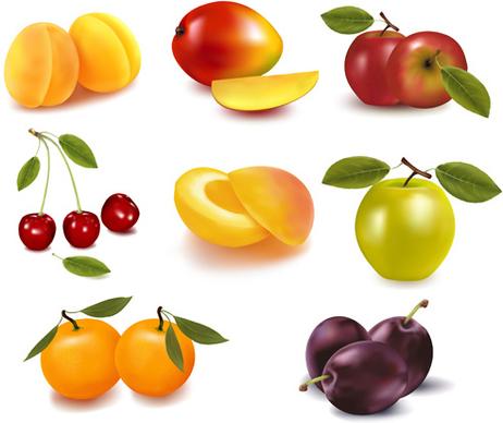 realistic fruits icons vector