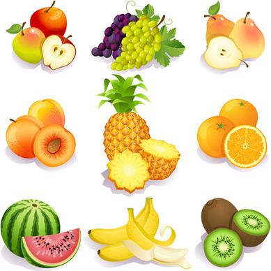 realistic fruits icons vector