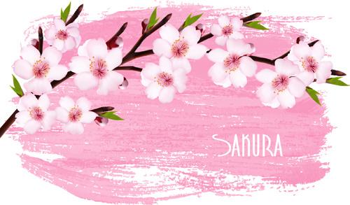 beautiful sakura vector background graphics