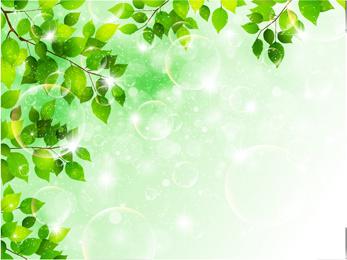 bubble and tree leaves vector background