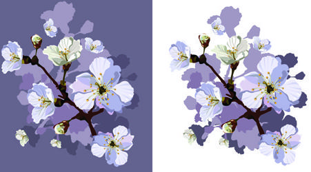 drawn peach blossom creative vector