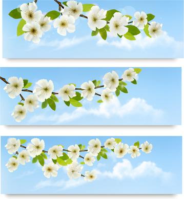 beautiful white flowers vector banner