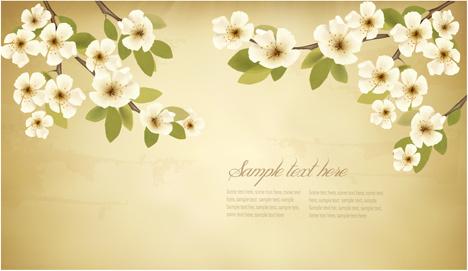 spring white flowers with vintage background