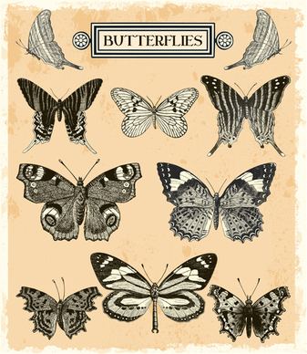 hand drawn vintage butterflies vectors set