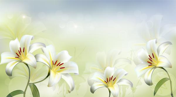 beautiful white flower vector background