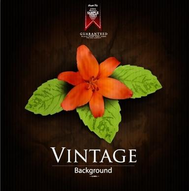 vector vintage background creative design