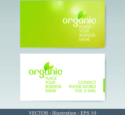 elegant business cards vectors illustration set