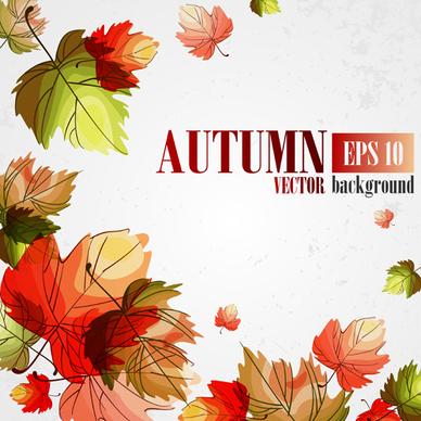 autumn beautiful background vector set