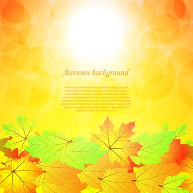 autumn beautiful background vector set