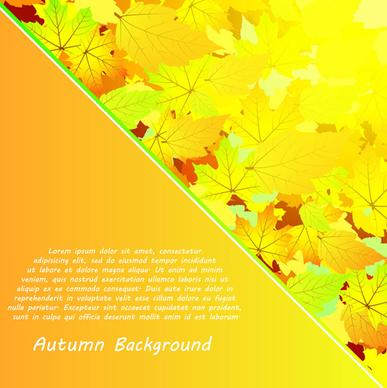 autumn beautiful background vector set