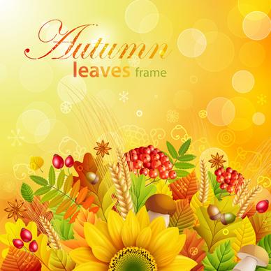 autumn leaves frame vector set