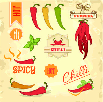 fresh food label design vector