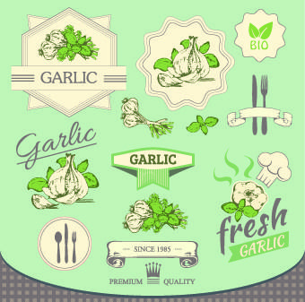 fresh food label design vector