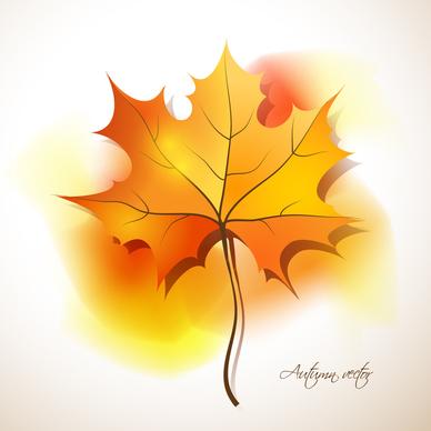 maple leaves design elements vector