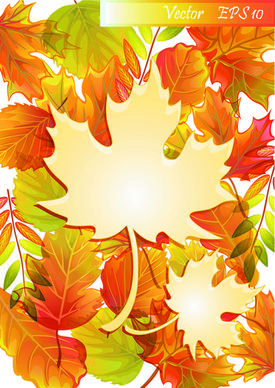 maple leaves design elements vector