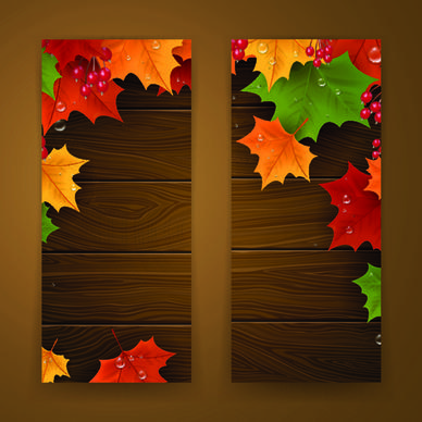 banner autumn design vector