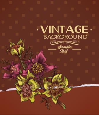 huge collection of vintage background vector