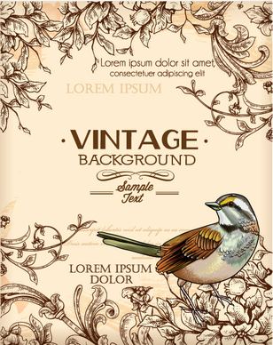 huge collection of vintage background vector