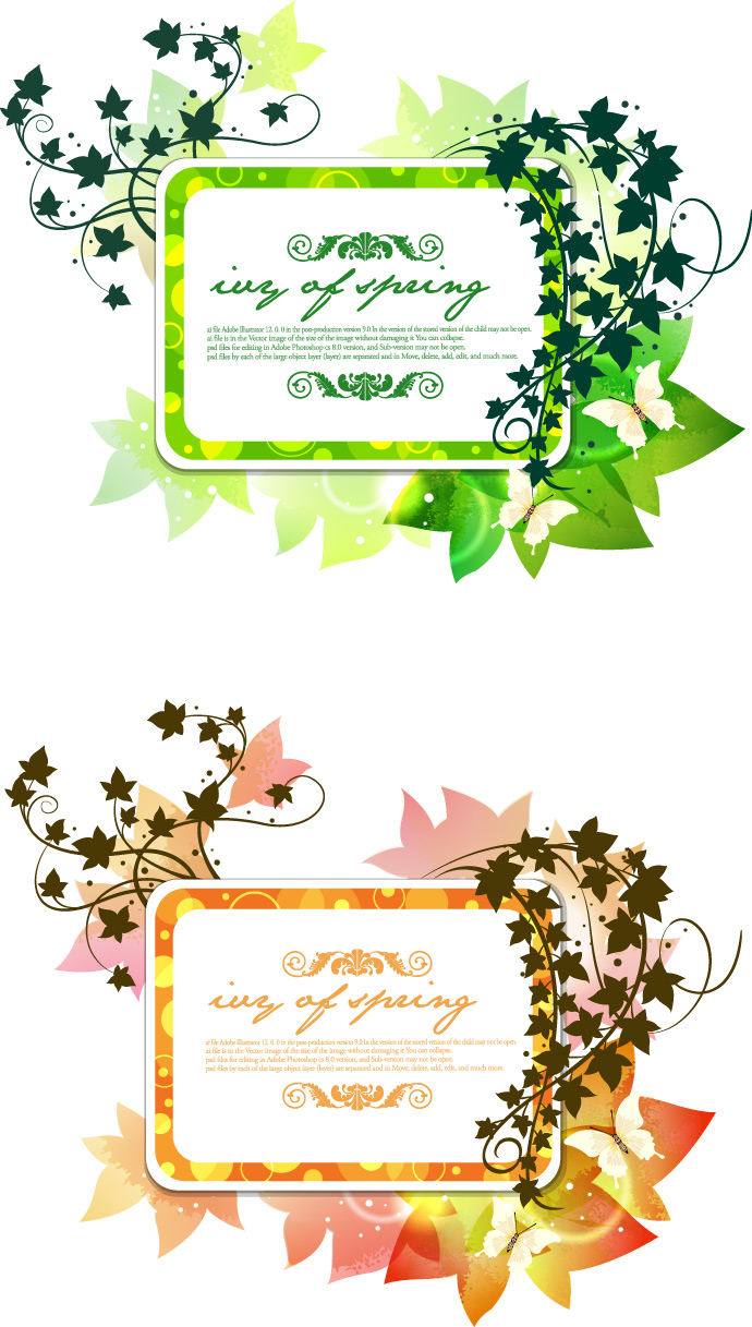 butterfly flower vine decorative frame vector