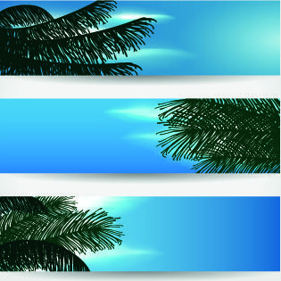 summer banners design vector