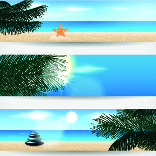 summer banners design vector