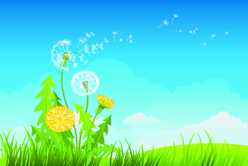 summer blue sky backgrounds vector