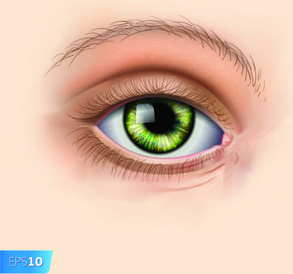 different eyes design vector