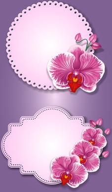 flower and labels vector