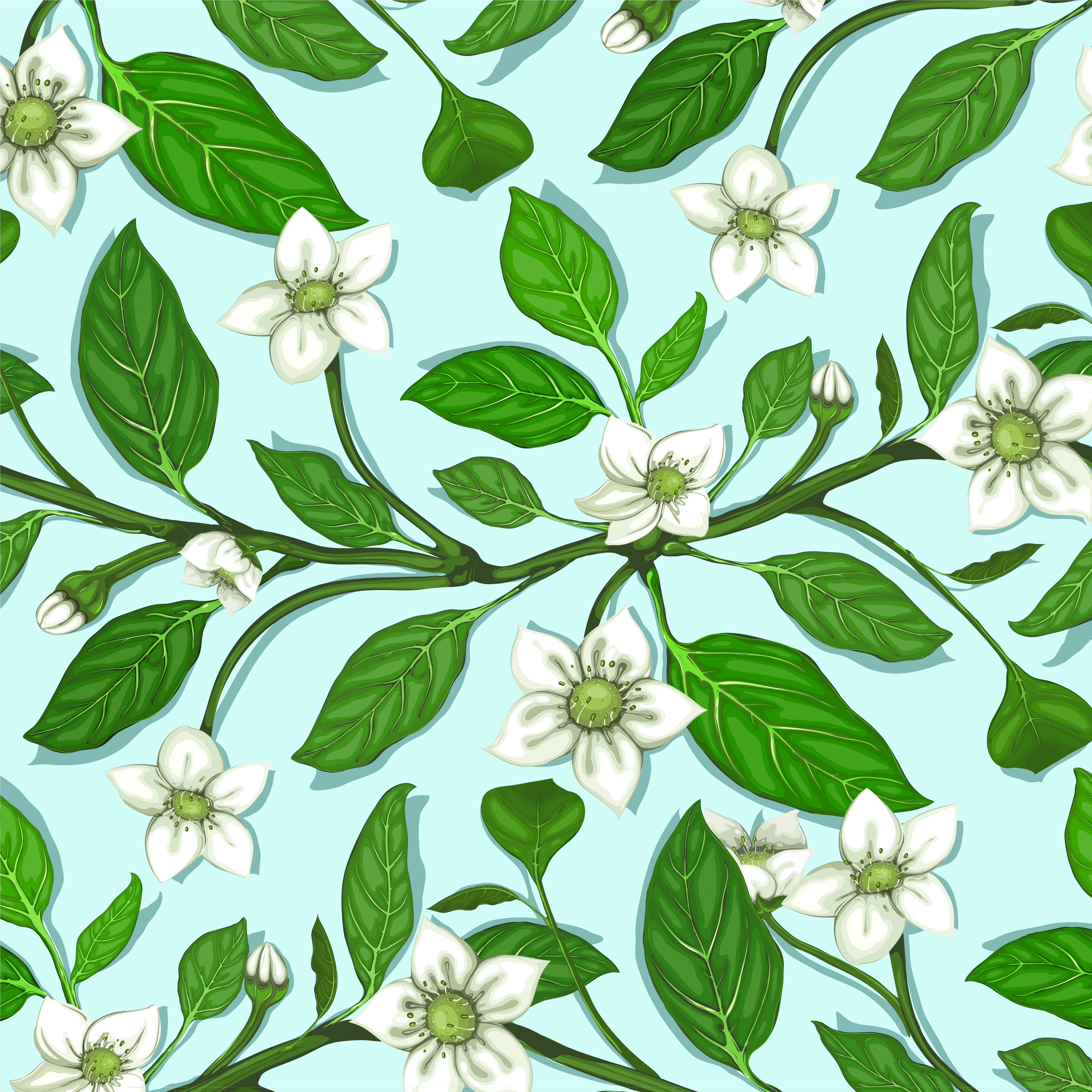 plant and spring design vector